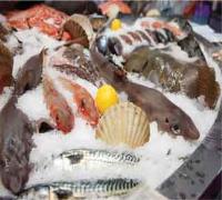 Hillseafood supplying quality Seafood in Perth image 2